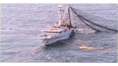 El mar y sus alimentos