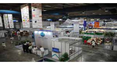 Empresas faráneas interesadas en negocios con Cuba