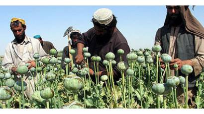 Cultivo de amapola en Afganistán