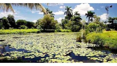 Ciénaga de Zapata
