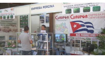 Exposición provincial en ExpoCuba