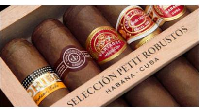 Selección Petit Robustos