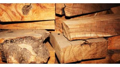 Madera aserrada y troceada