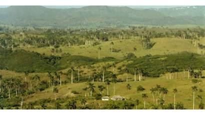Valle del Yumurí