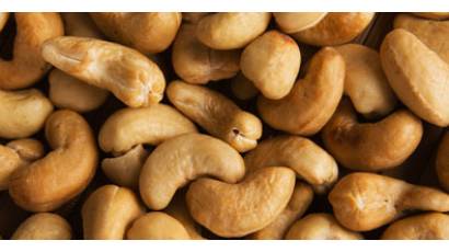 Semilla de marañón