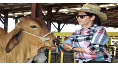 La ciencia cubana al servicio de la ganadería