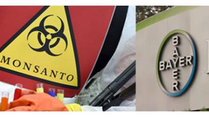Bayer-Monsanto