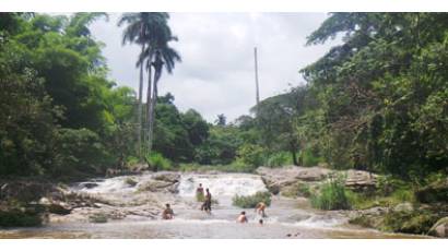 Desarrollo del campismo