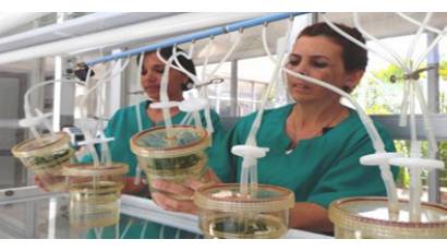 científico-tecnológicos