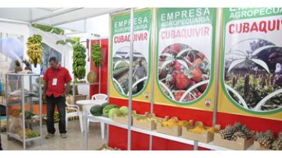 Desarrollo agroindustrial