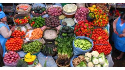 Productos alimenticios