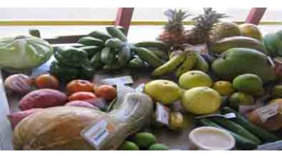 Citricos