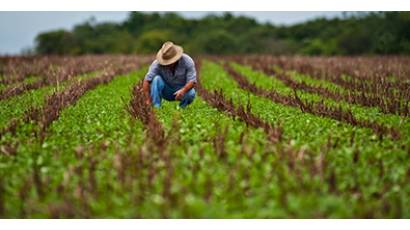 Recuperación de la agricultura