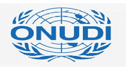 Naciones Unidas para el Desarrollo Industrial 