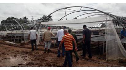 Recuperación en Pinar del Río tras huracán Michael