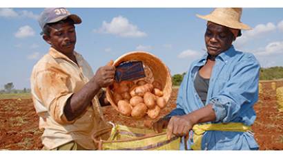 Relevante papel de la agricultura
