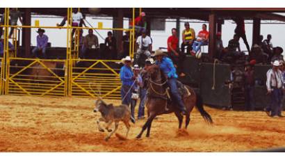 Deporte agropecuario en pleno desarrollo