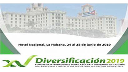 Diversificación 2019