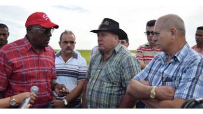 Pinar del Río: Chequean inversiones de programas agrícolas 