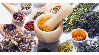 Agricultura avileña eleva número de plantas medicinales