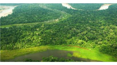 Bolsonaro destruye la Amazonía brasileña