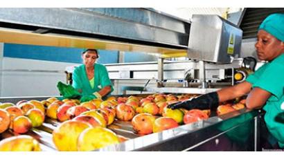 Industria de conservas en Ciego de Ávila