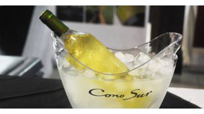 Descubrir encantos en una copa de vino