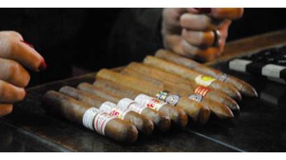 Cuba mantiene producciones de habanos