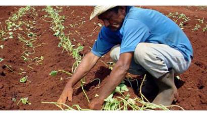 Producir alimentos