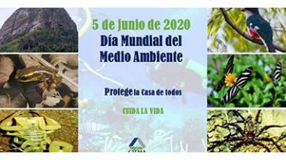 Pinar del Río por una mejor preservación del entorno