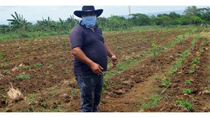 Productores agropecuarios