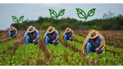 Actualizan daños en la agricultura por el paso de tormenta tropical Eta