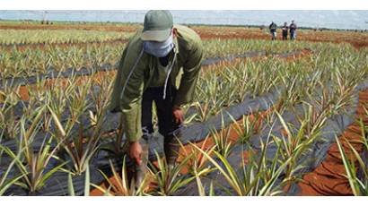 Agricultura, invertir para mañana