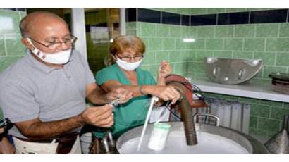 Inseminación artificial de Granma apuesta por el desarrollo