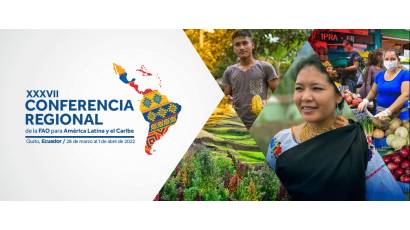 37º Período de Sesiones de la Conferencia Regional de la FAO para América Latina y el Caribe