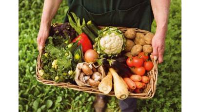 Sustentar, desde lo legal, los sistemas y procesos alimentarios