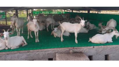 ALASS, para que la agricultura de seis municipios vuele