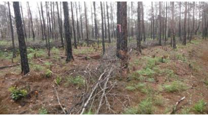 Cover de Noticia 1qSEP4_03-11-2022_11.11.10.000000.jpg