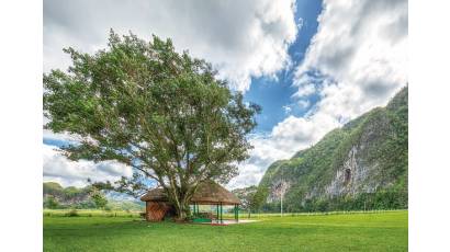 Conectando paisajes, un proyecto ambiental con alcance social y económico