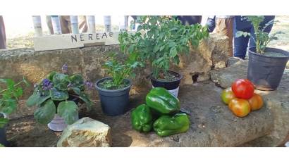 Los caminos de los bioproductos