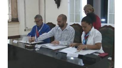 Crean empresa mixta para producción de café en Santiago de Cuba