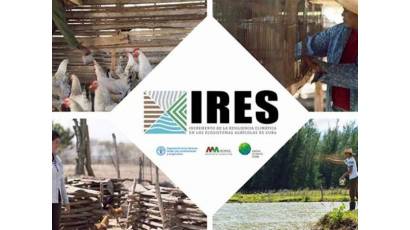 Proyecto IRES, apuntar a dos dianas