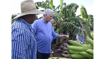 Trabajando y creando las riquezas necesarias es como Cuba saldrá adelante