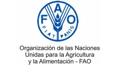 Recibe Cuba apoyo de la FAO para recuperarse del huracán Rafael