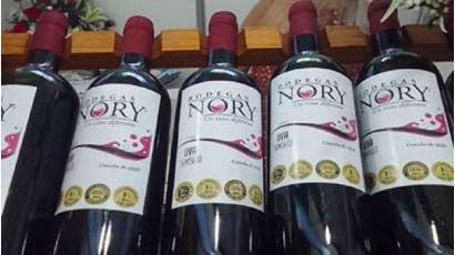 Acogerá Cienfuegos Festival Nacional de Vinos Artesanales