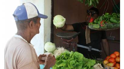 Organopónico Vitaminas Verdes, una nueva oportunidad