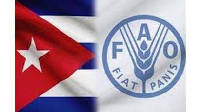 Recomienda FAO impulso de agroecología en Cuba