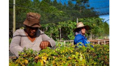 Hacer agricultura con enfoque de paisaje