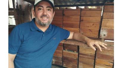 Premio Internacional para cubanos productores de abejas meliponas