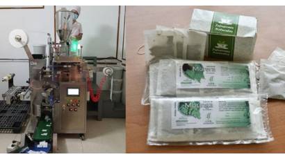 Darán  vida a una línea de producción dedicada a infusiones naturales a partir de plantas como moringa, flor de Jamaica y jengibre